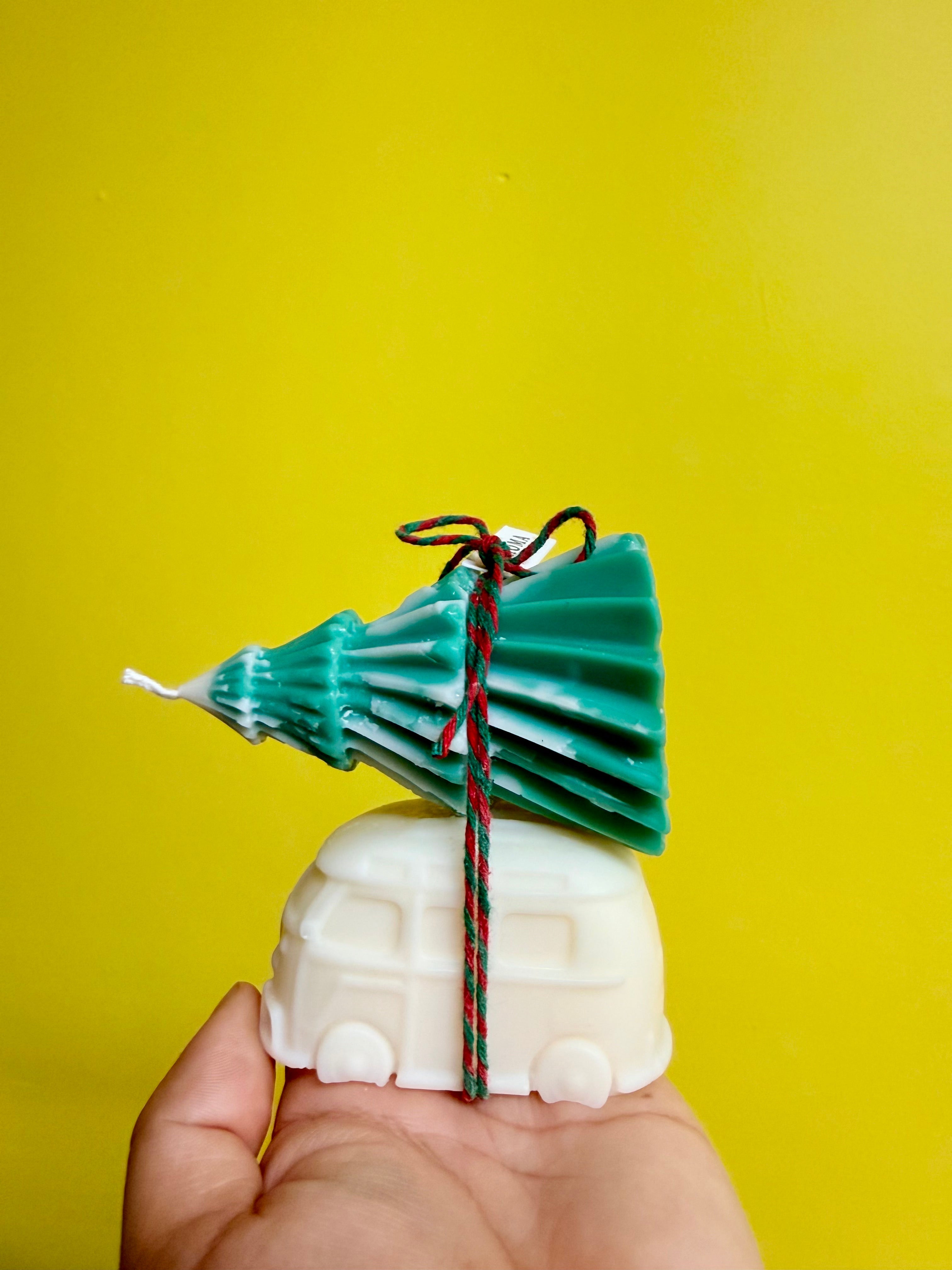 Fall & Winter Collection