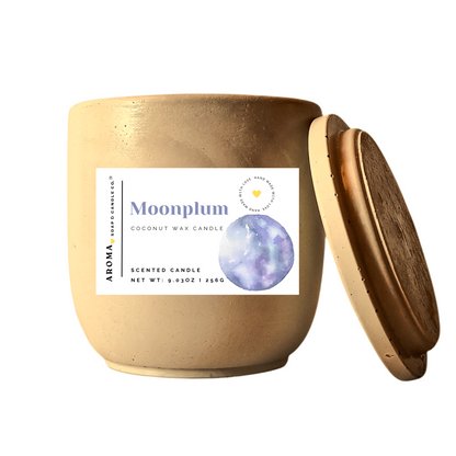 Moonplum Concrete Jar Candle