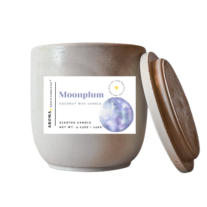 Moonplum Concrete Jar Candle