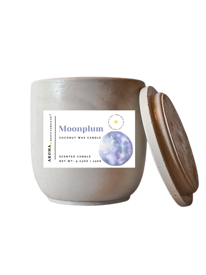 Moonplum - Signature Concrete Jar Candle