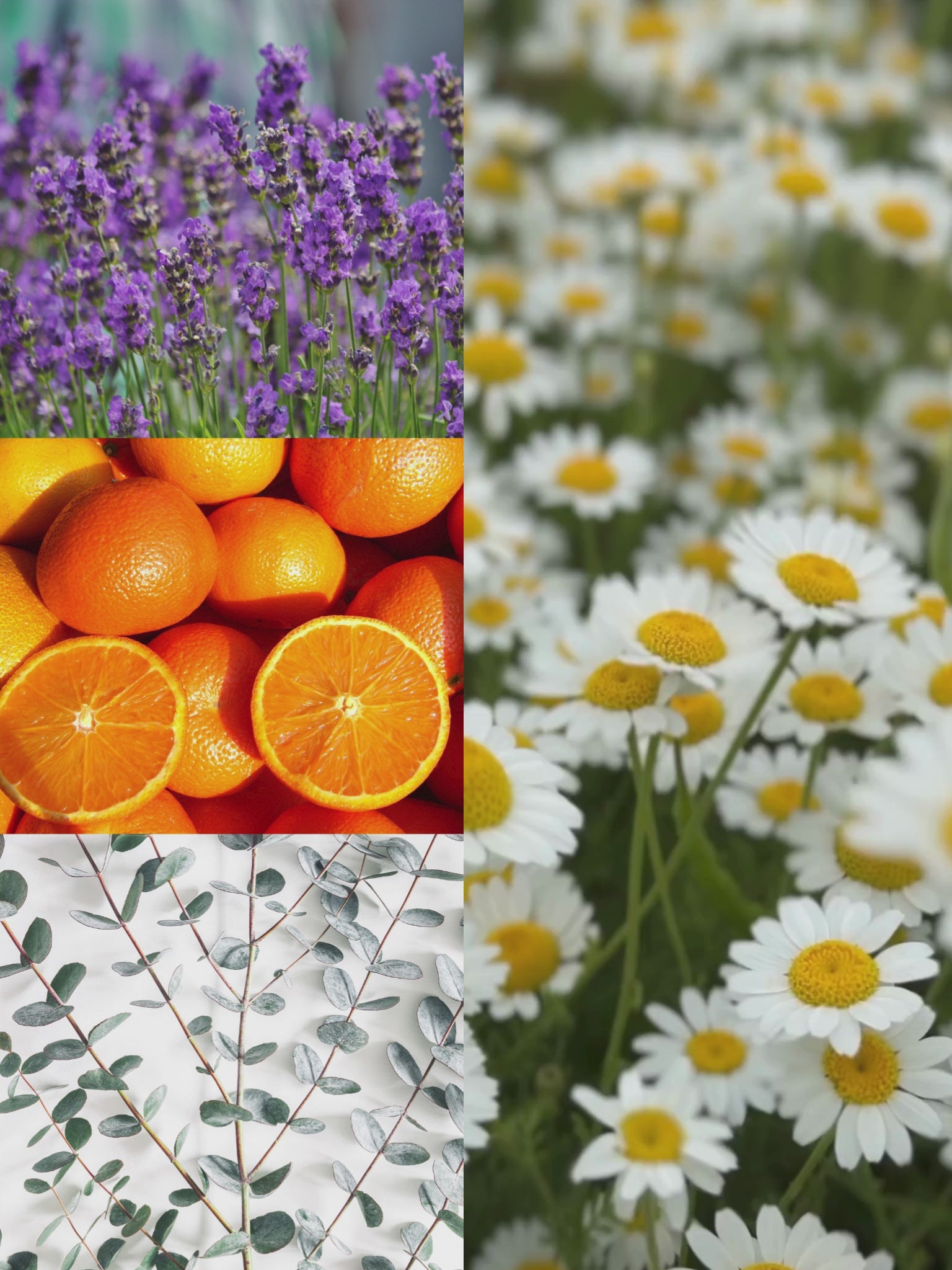 Chamomile Lavender  Room + Linen Spray