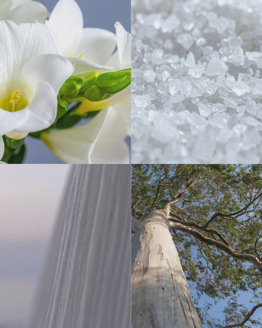 Teal Waters™ - Signature Concrete Candle Wax Refill