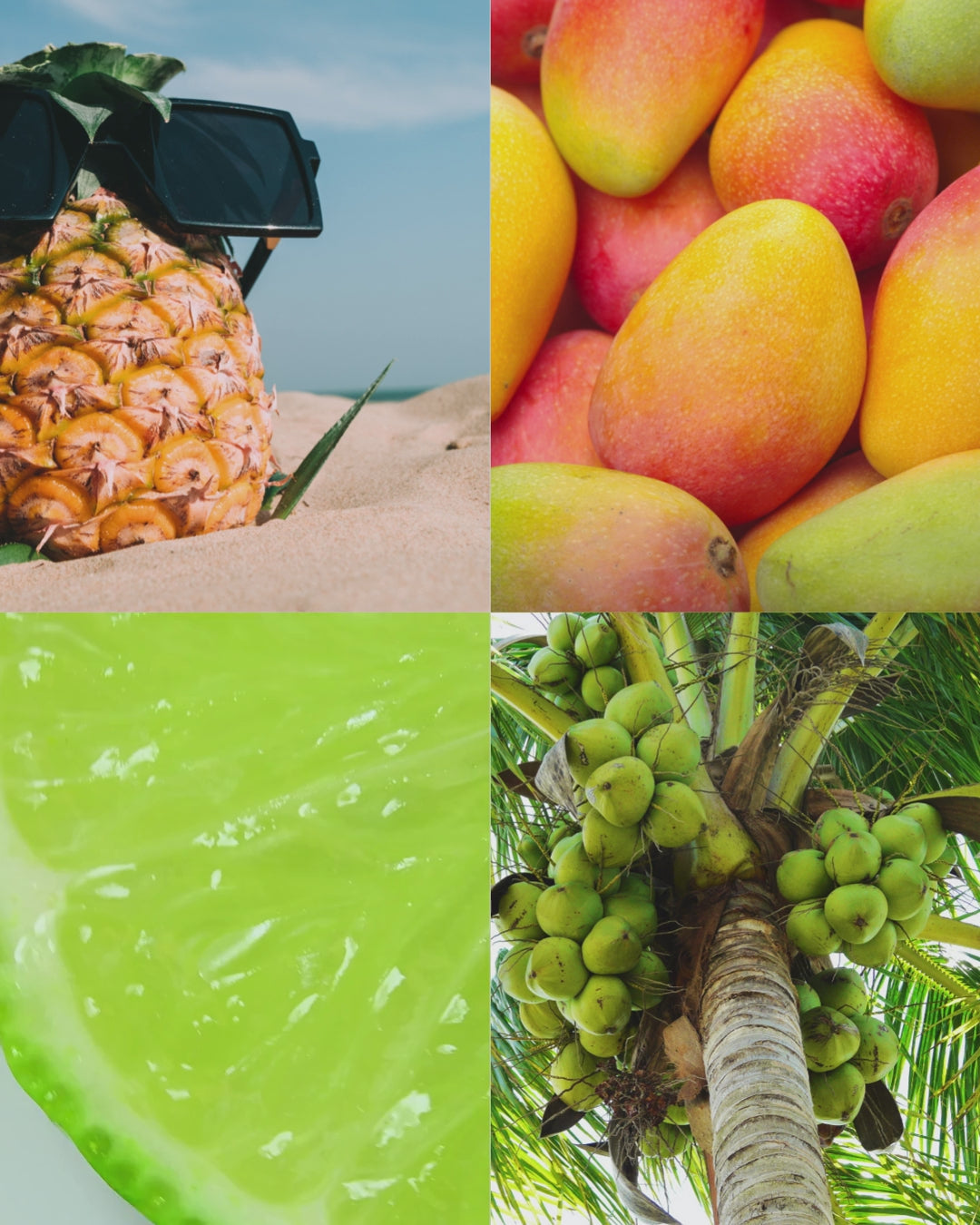 Coconut Lime™ - Signature Concrete Candle Wax Refill