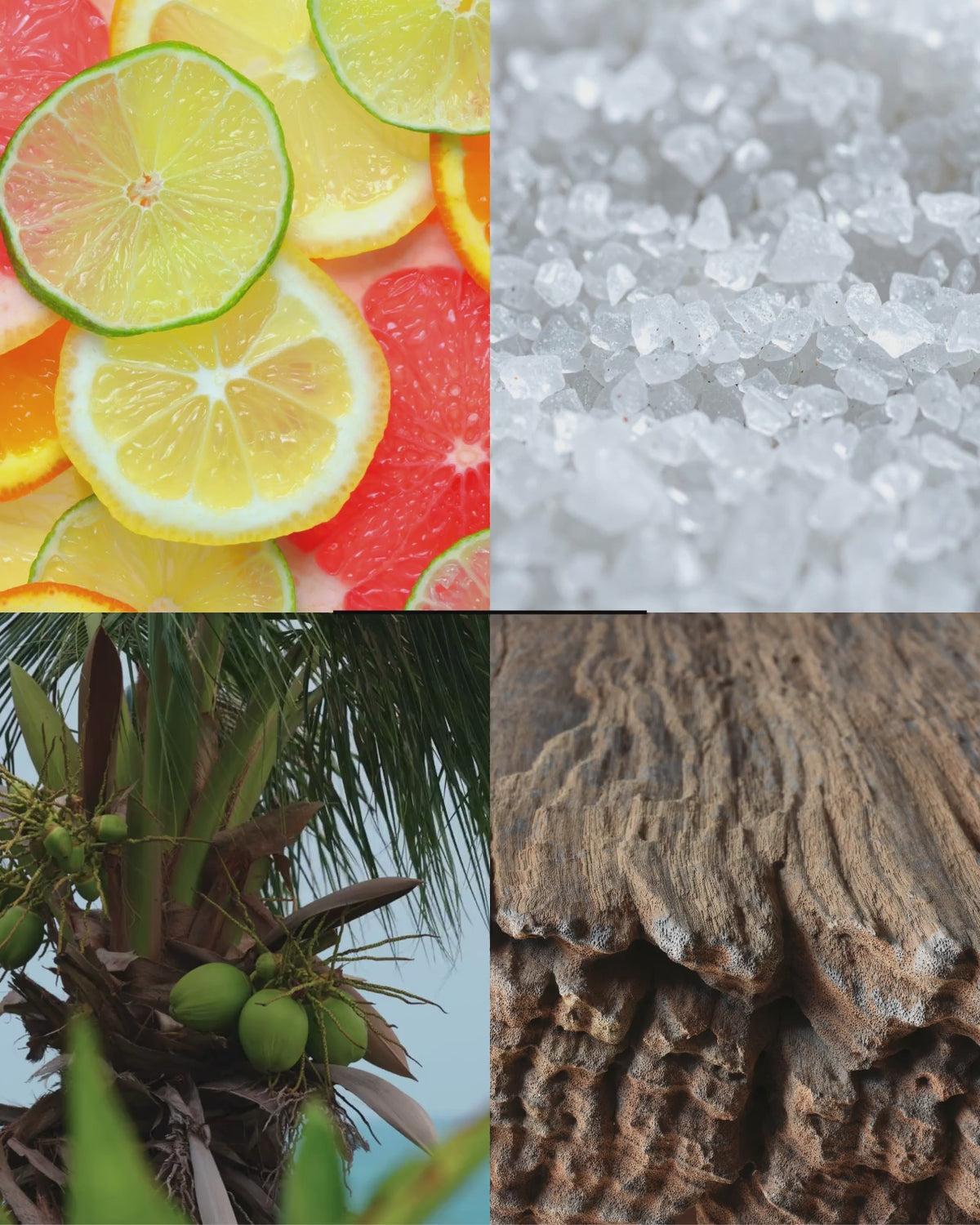 Coastal Cottage™ — More Than a Candle Bundle | Candle + Refill