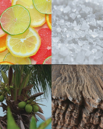 Coastal Cottage™ — More Than a Candle Bundle | Candle + Refill
