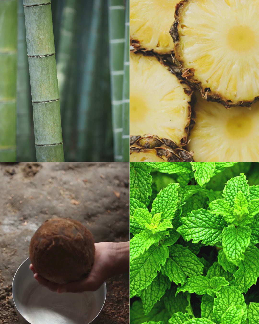 Bamboo Coconut™ - Signature Concrete Candle Wax Refill