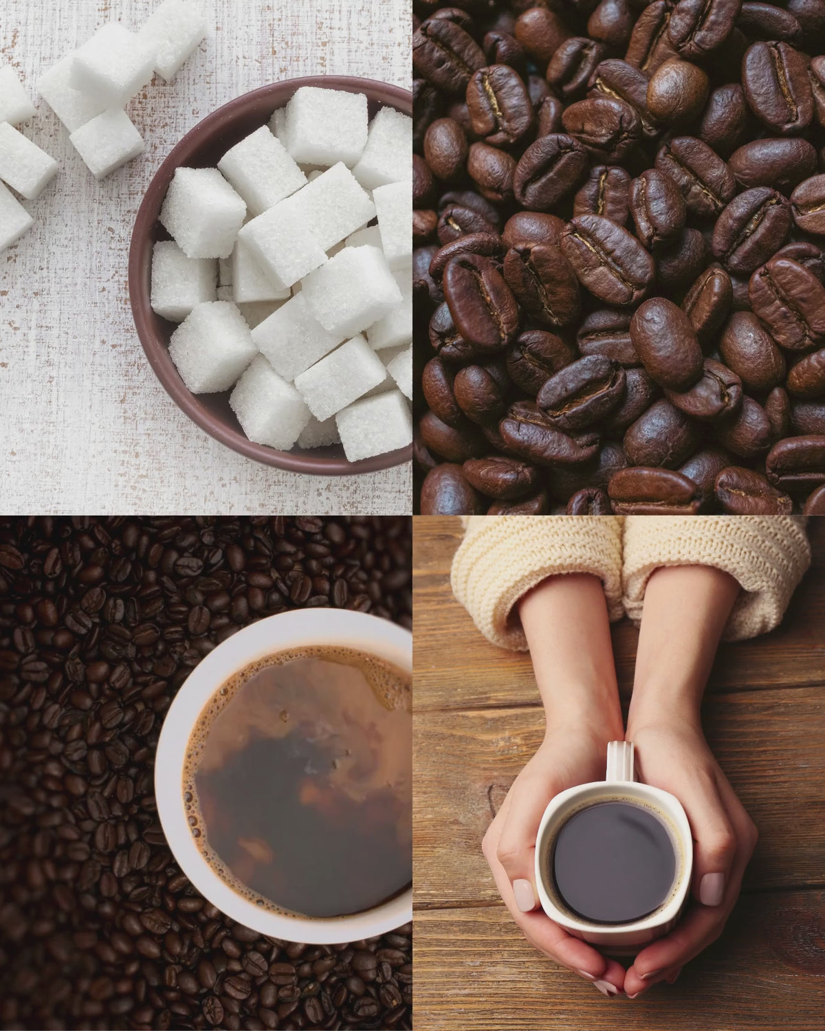 Dark Roast — More Than a Candle Bundle | Candle + Refill