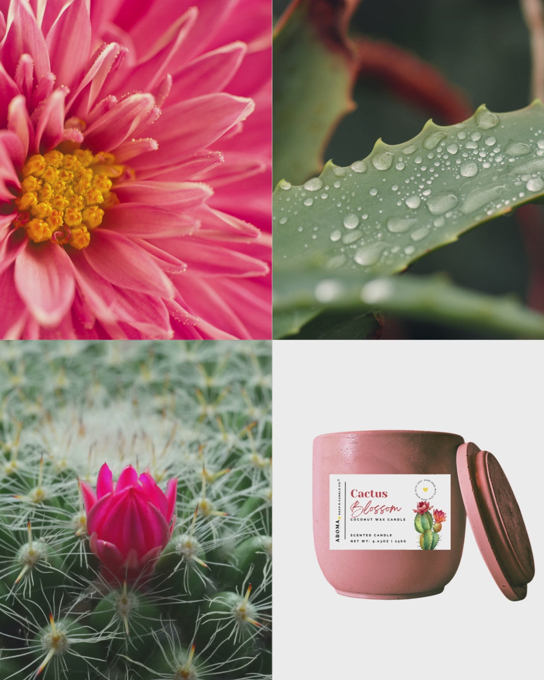 Cactus Blossom - Signature Concrete Jar Candle