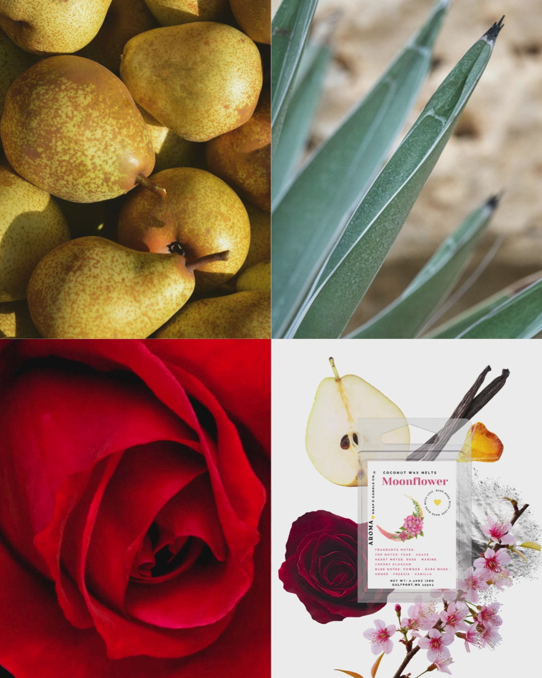 Moonflower Wax Melts