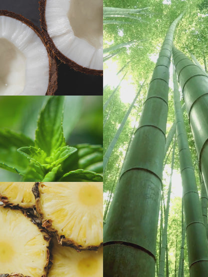 Bamboo Coconut™ Room + Linen Spray