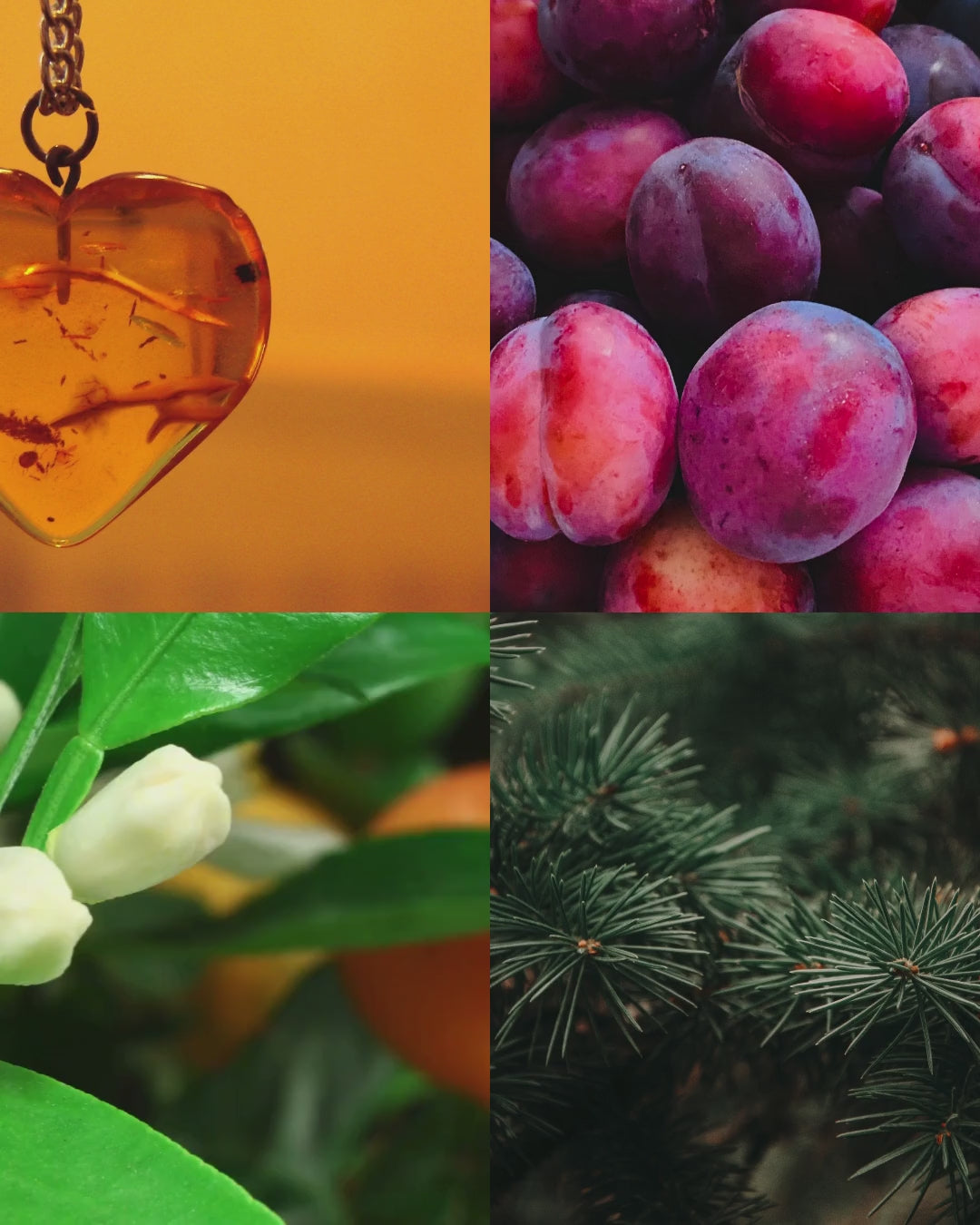 Amber Rouge™ — More Than a Candle Bundle | Candle + Refill