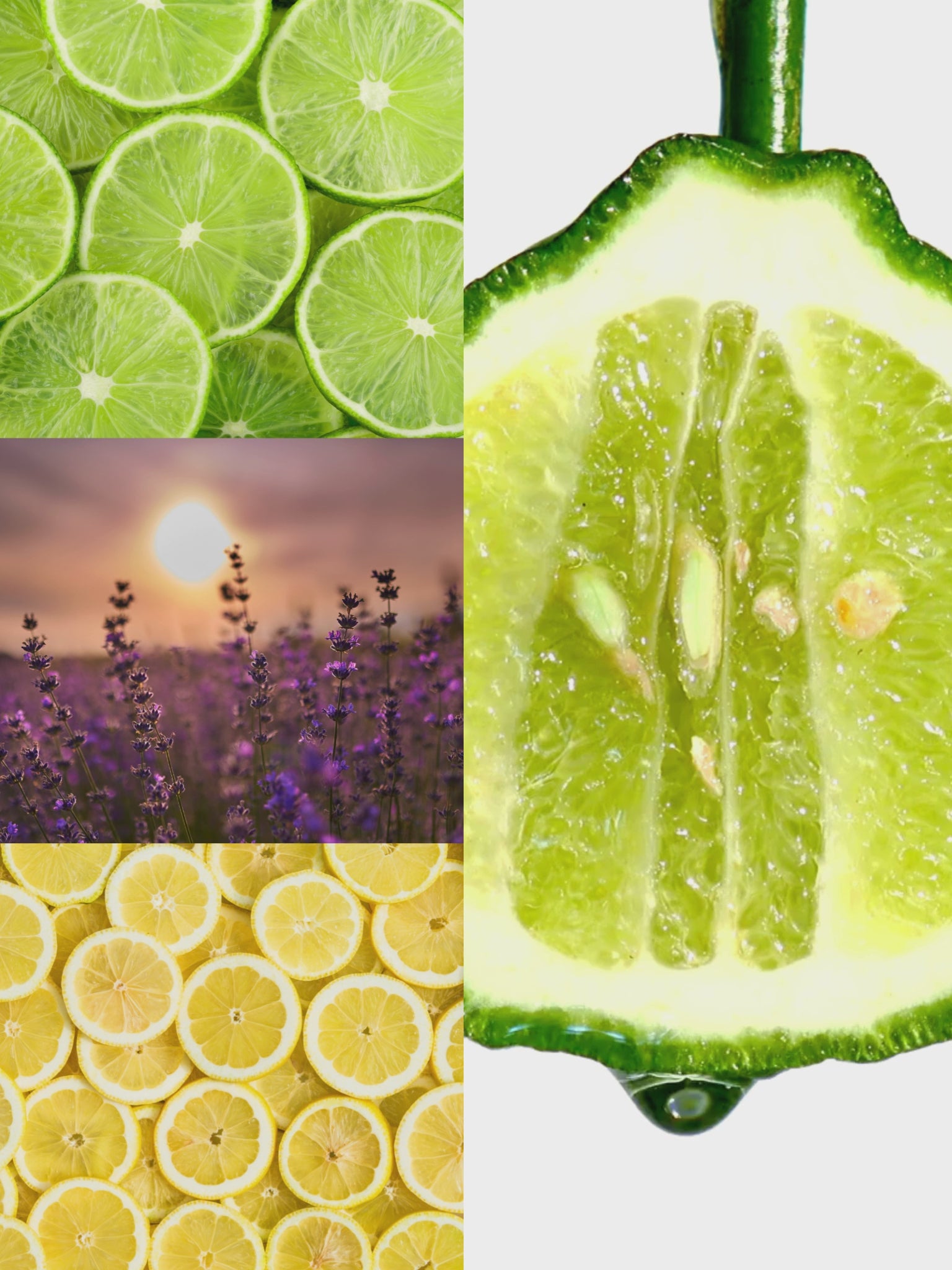 Balance - Essential Oil Blend Pillow Spray