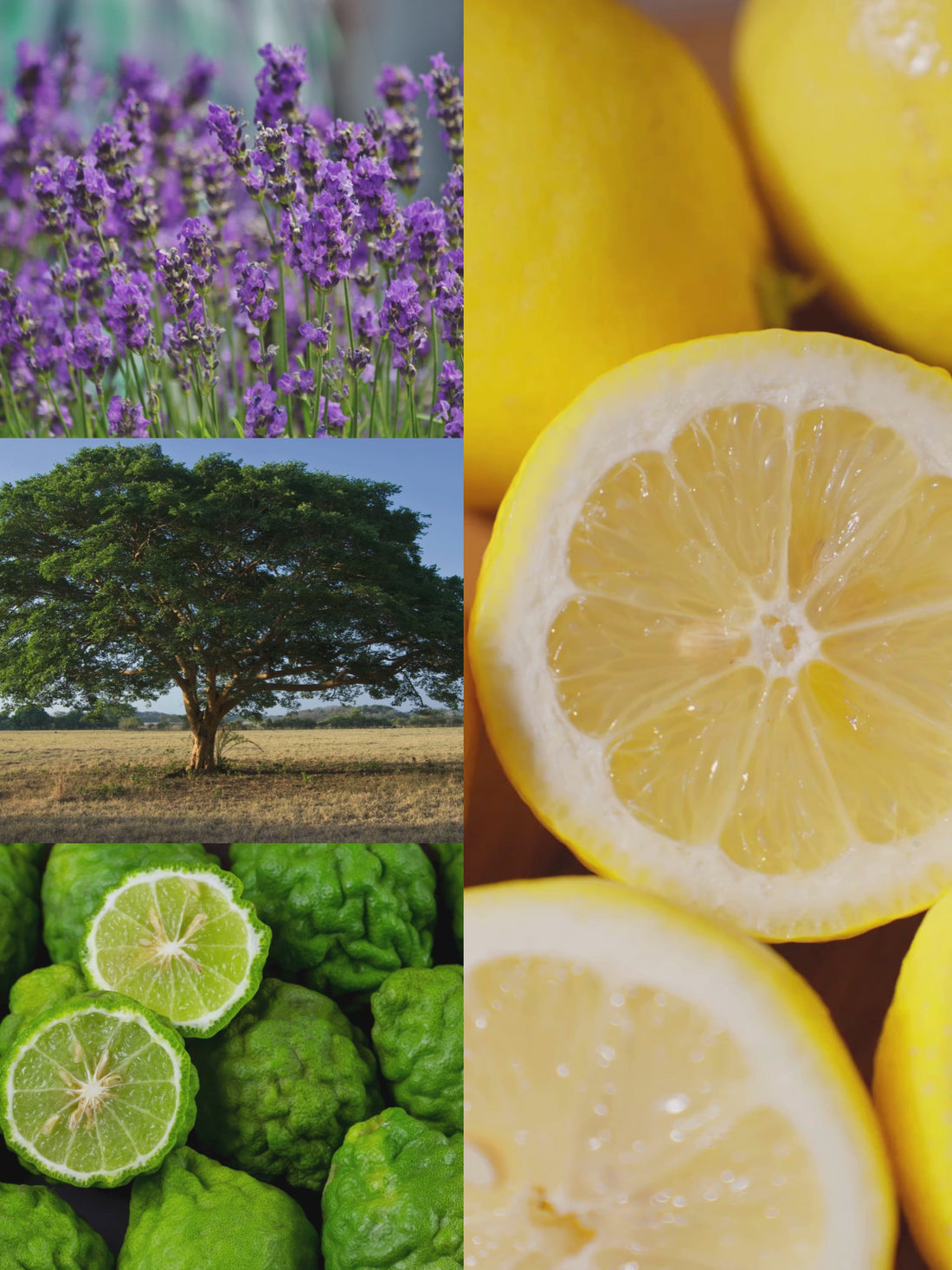 Stress - Essential Oil Blend Pillow Spray