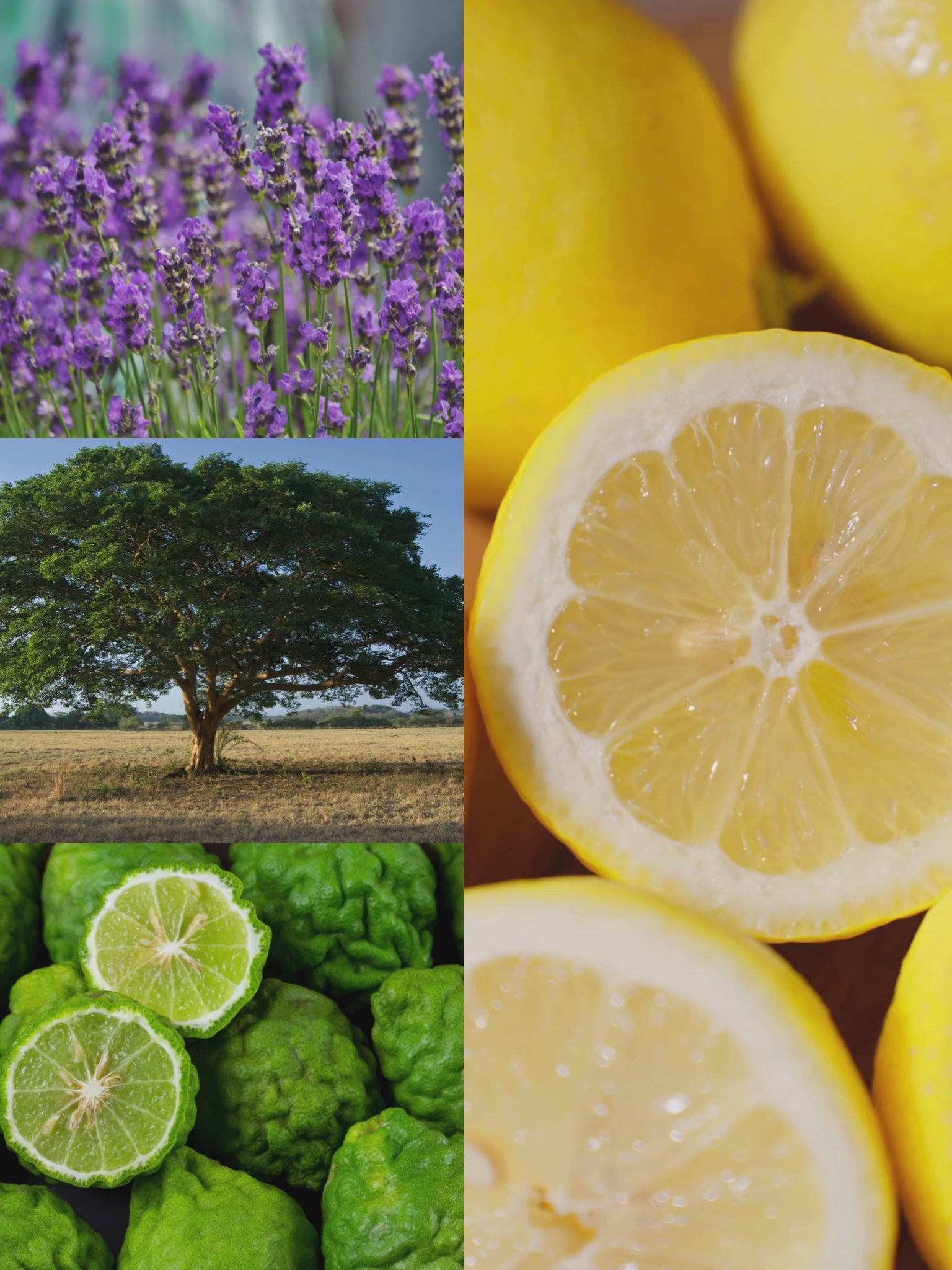 Stress - Essential Oil Blend Pillow Spray
