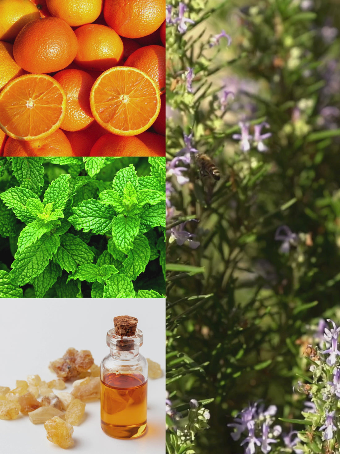 Focus - Essential Oil Blend Pillow Spray