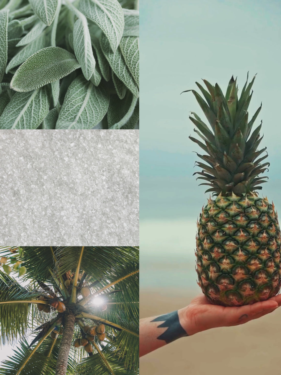 Pineapple Sage Room + Linen Spray