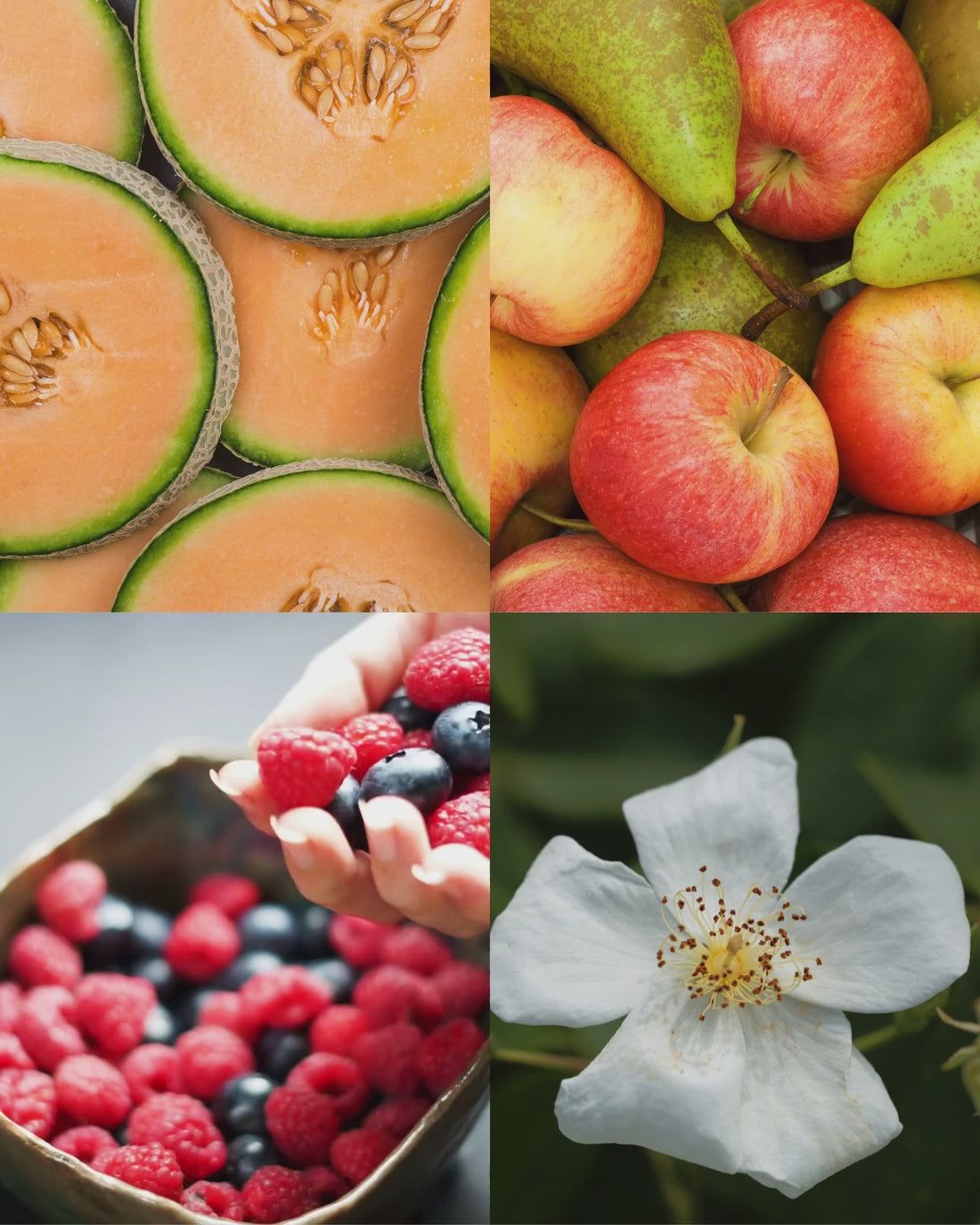 Moonplum™ — More Than a Candle Bundle | Candle + Refill