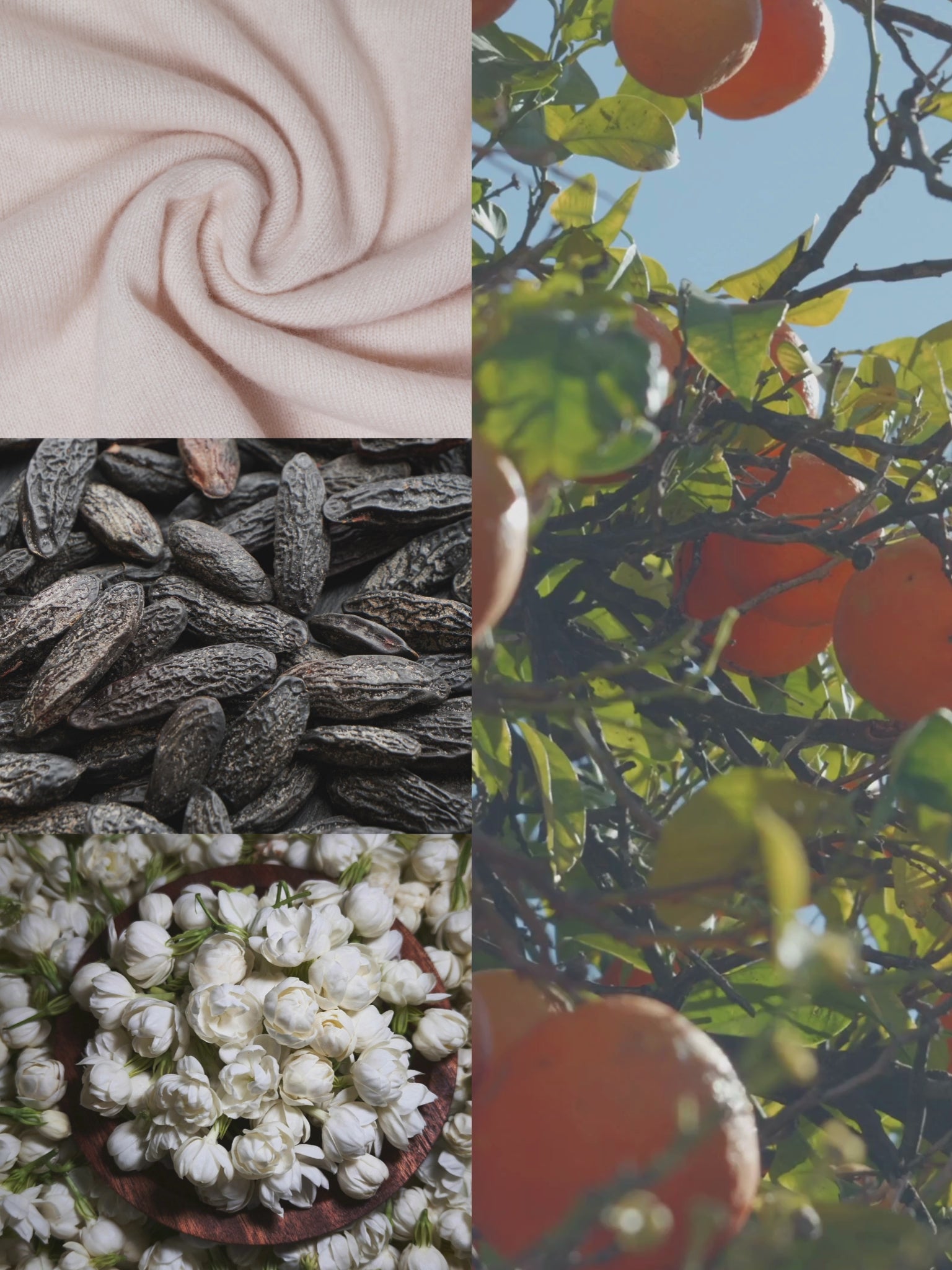 Autumn Whisper Candle - Fall Collection