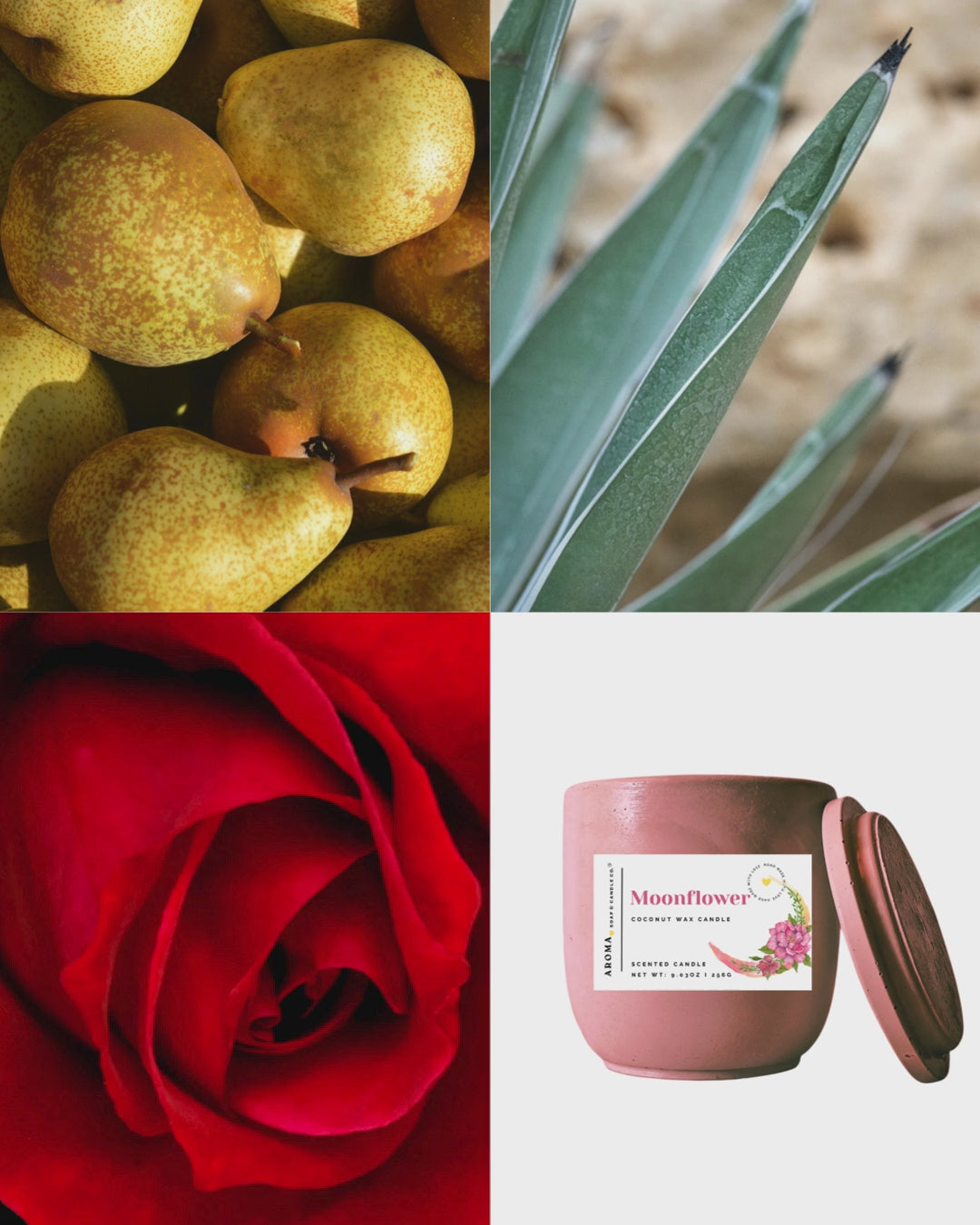 Moonflower - Signature Concrete Jar Candle