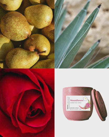Moonflower - Signature Concrete Jar Candle
