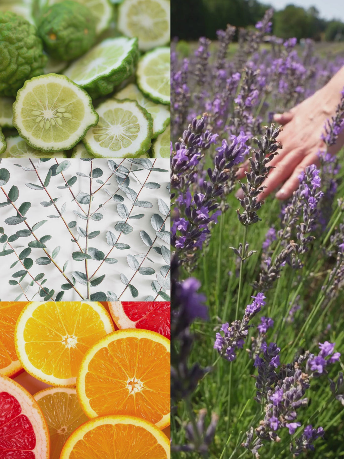 Lavender Room + Linen Spray