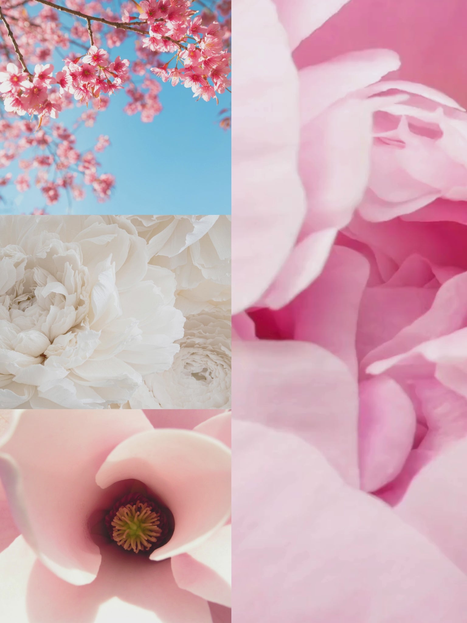 Magnolia Peony™ Car Diffuser