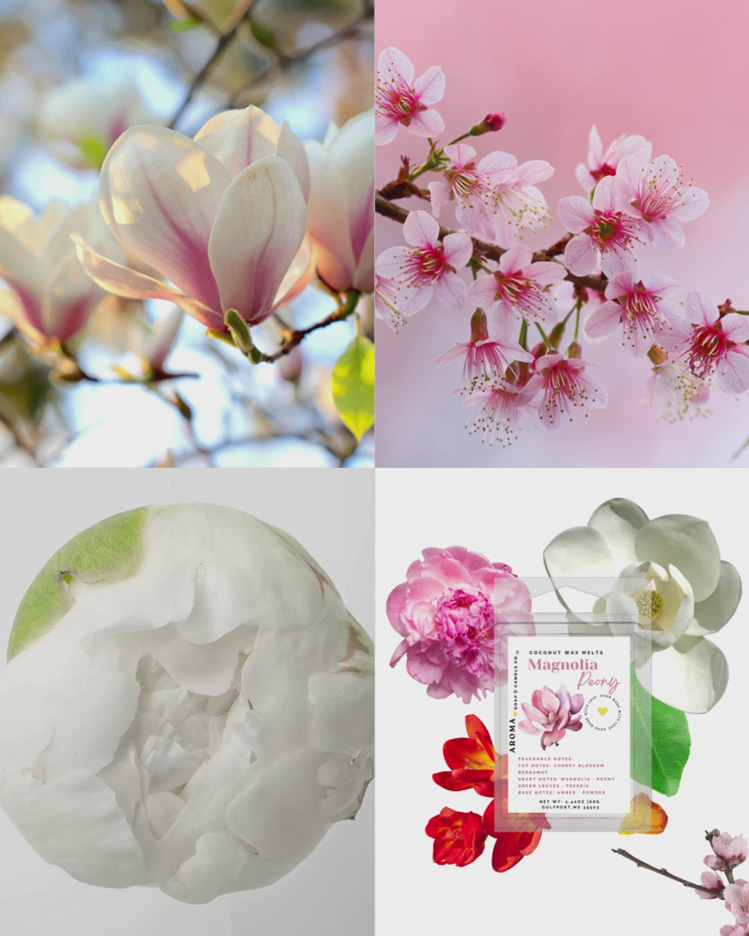 Magnolia Peony Wax Melt