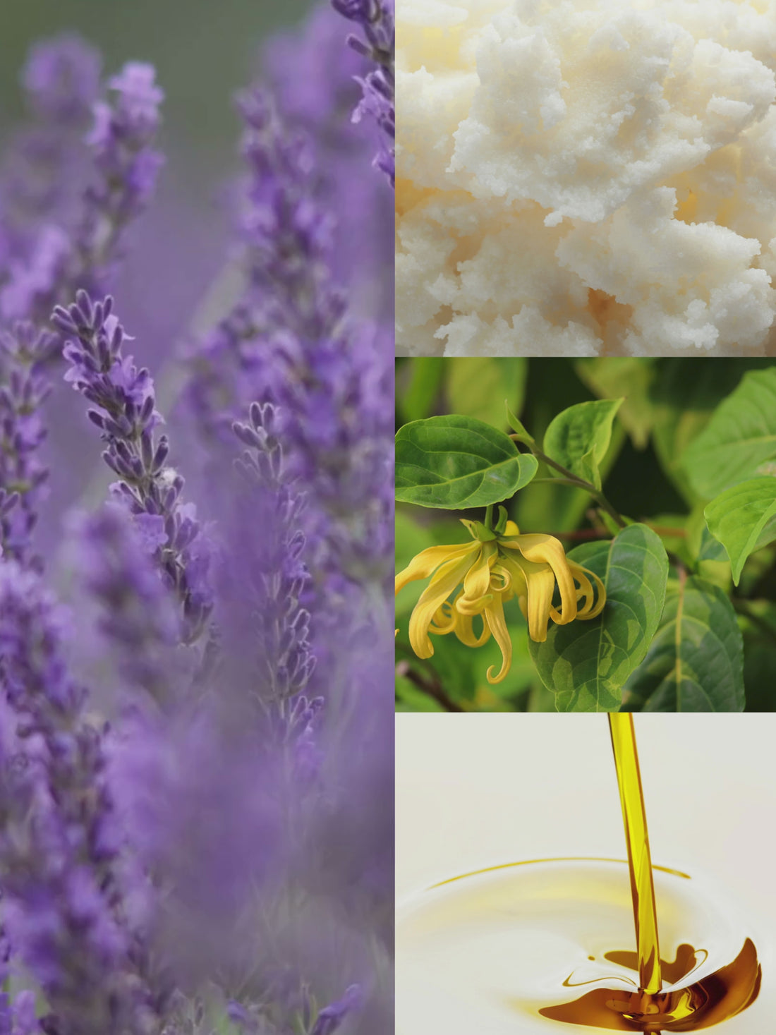 Wild Lavender Cold Process Soap
