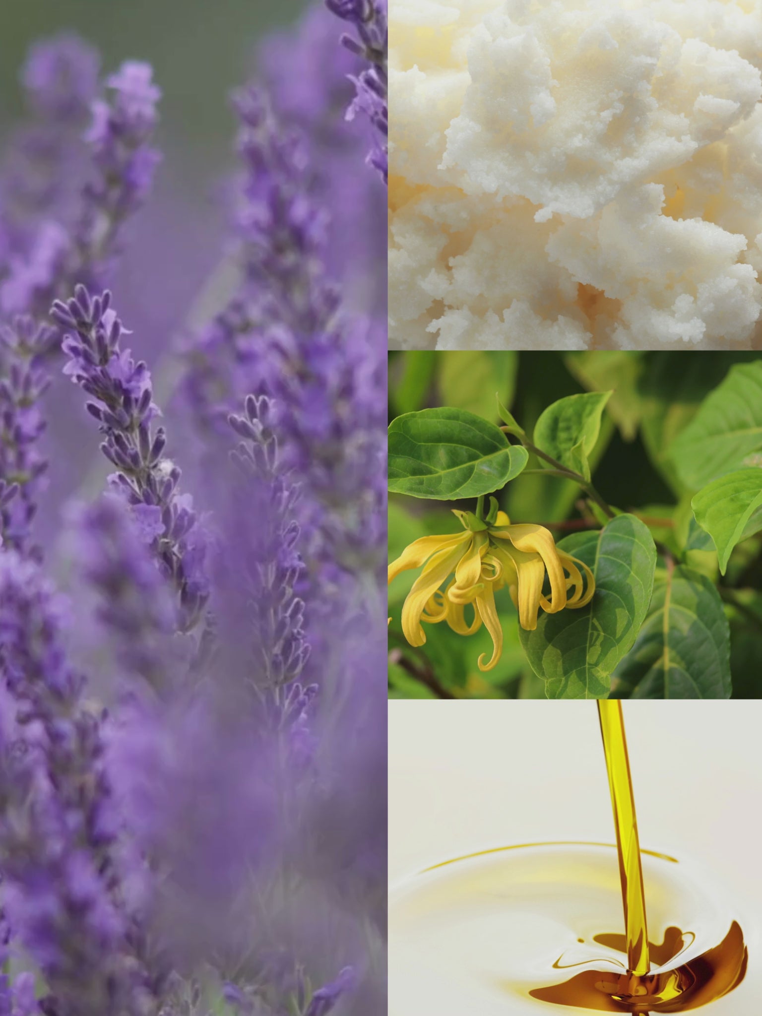 Wild Lavender Cold Process Soap