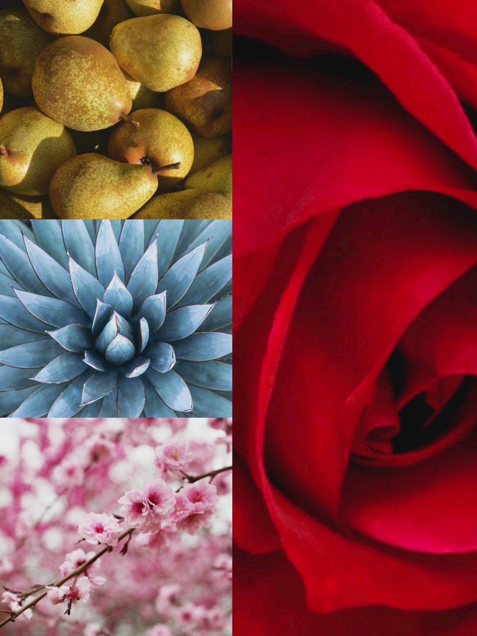 Moonflower™ Room + Linen Spray
